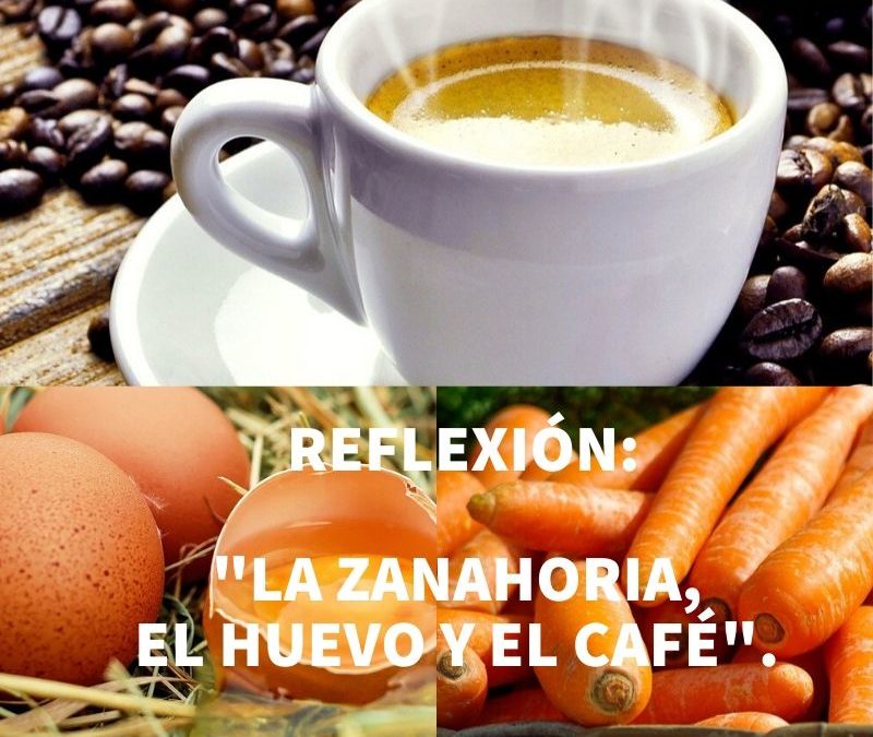 REFLEXIÓN: «LA ZANAHORIA, EL HUEVO Y EL CAFÉ»