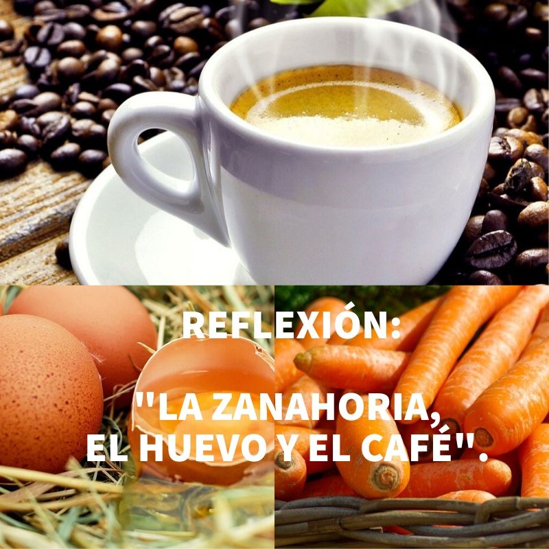 REFLEXIÓN "LA ZANAHORIA, EL HUEVO Y EL CAFÉ" Haifa Ghawi