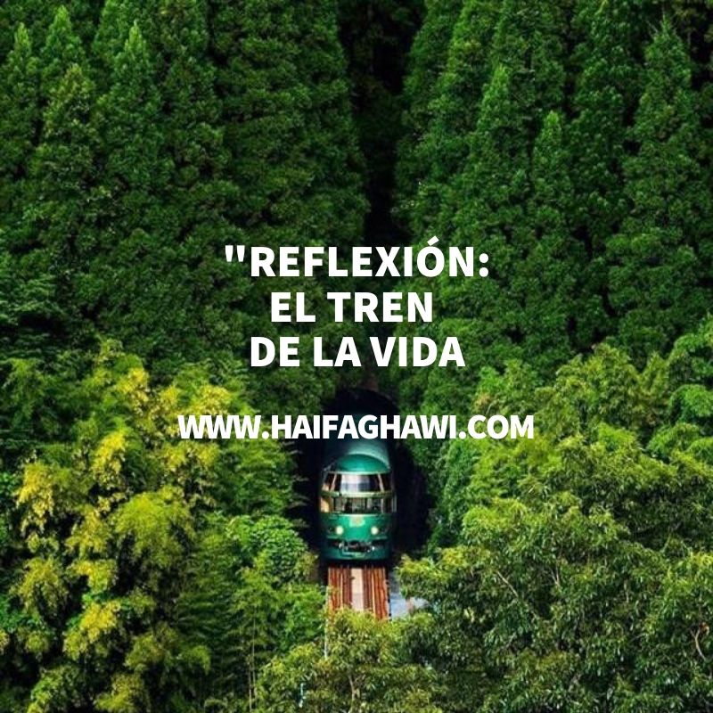 Reflexion El Tren De La Vida Haifa Ghawi