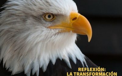 REFLEXIÓN: LA TRANSFORMACIÓN DEL ÁGUILA