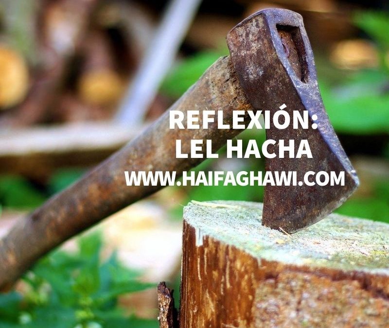 REFLEXIÓN: EL HACHA